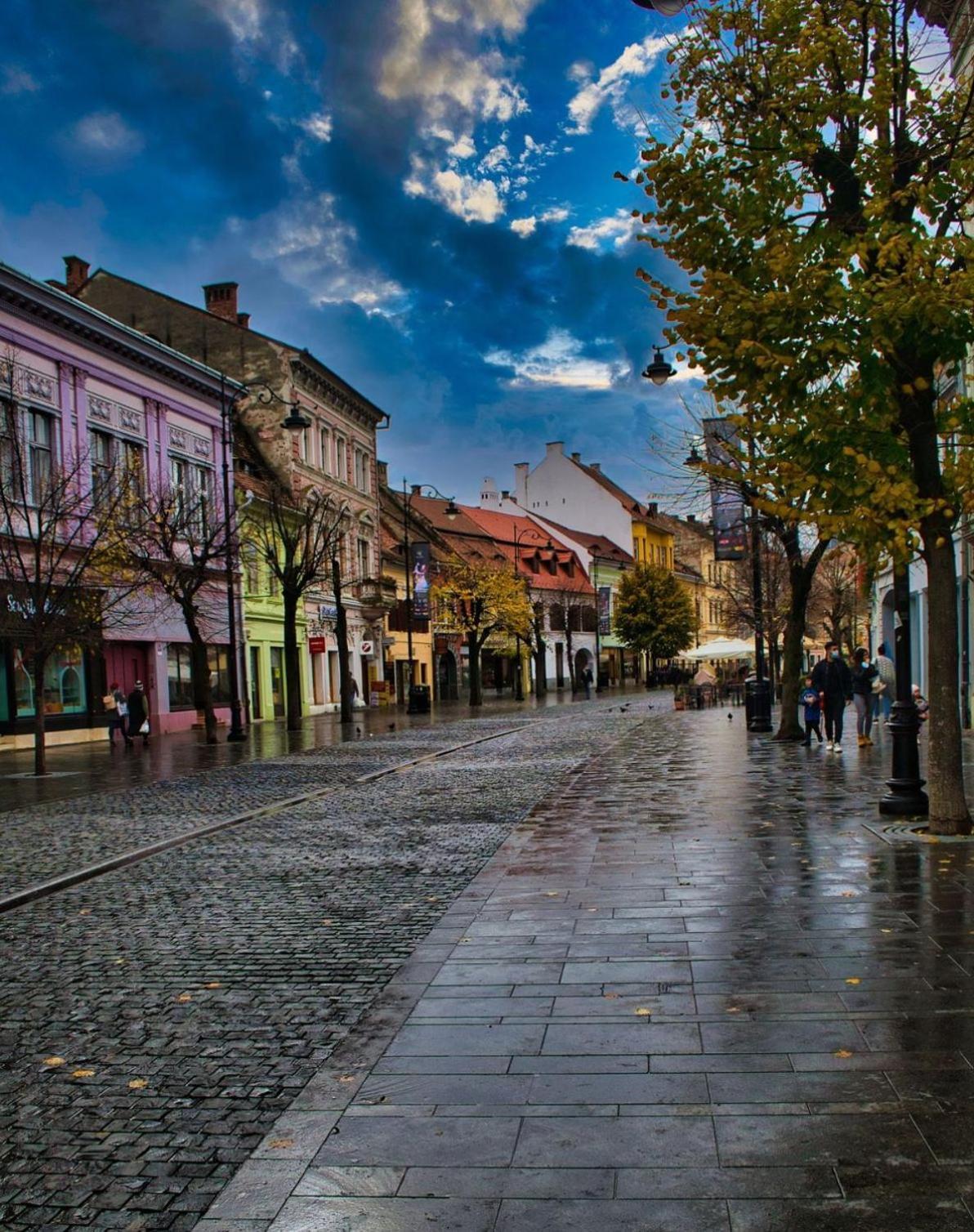 Phoenix Central Apartments Сібіу Екстер'єр фото